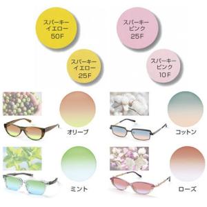 ReVision リビジョン x RayBan レイバン RB4258F用 交換レンズ