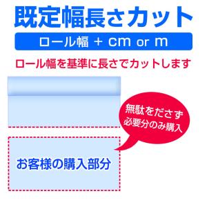 背面投影スクリーン サイバービュースクリーン ...の詳細画像1