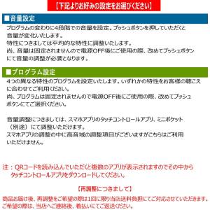 補聴器耳あな型 耳穴 シーメンス シグニア デ...の詳細画像5