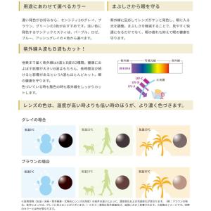 交換用メガネレンズ 累進調光レンズ センシティ...の詳細画像3