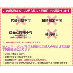 【REC SPECS】レックスペックス アフタ...の詳細画像3