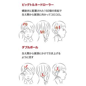 【メール便対応】アルファックス 熱伝導スカルプ...の詳細画像2