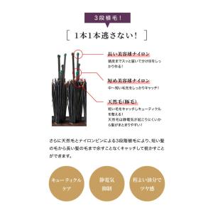 ドリーム プロイデア 熊本艶髪ブラシ ボリュー...の詳細画像4