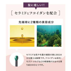 ドリーム プロイデア 熊本艶髪ブラシ ボリュー...の詳細画像5