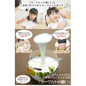 【メール便対応】カスピ海ヨーグルトの乳酸菌 ヨ...の詳細画像1