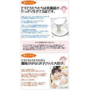 【メール便対応】カスピ海ヨーグルトの乳酸菌 ヨ...の詳細画像2