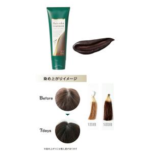 【メール便対応】生活の木 ヘアカラートリートメ...の詳細画像1
