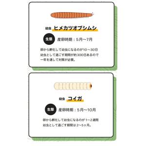 COLUMBUS コロンブス ナチュラルデオド...の詳細画像3