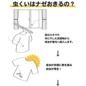 COLUMBUS コロンブス ナチュラルデオド...の詳細画像4