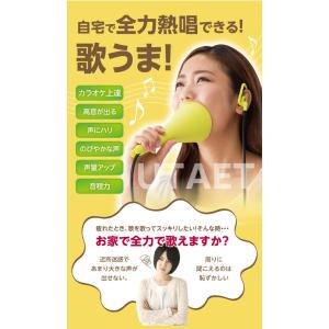 ドリーム UTAET ウタエット ボイストレーニングの詳細画像2