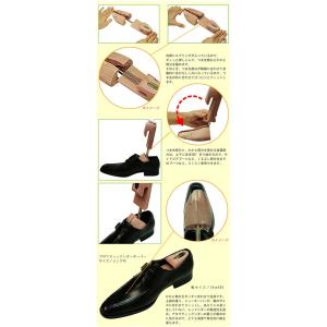 Collonil コロニル アロマティックシダ...の詳細画像1