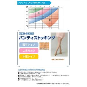【メール便送料無料】リムフィックス レックスフ...の詳細画像2