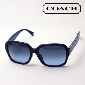 開梱 設置?無料 】 【未使用】SWANS ER10170 DMBR サングラス ER1-0170