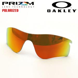 スワンズ] サングラス DF パスウェイ 偏光レンズモデル PW-0065 CBR