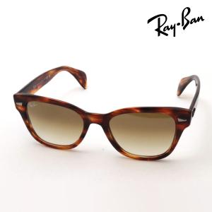 Ray-Ban（レイバン） 偏光サングラス NewModel Ray-Ban MEGA HAWKEYE