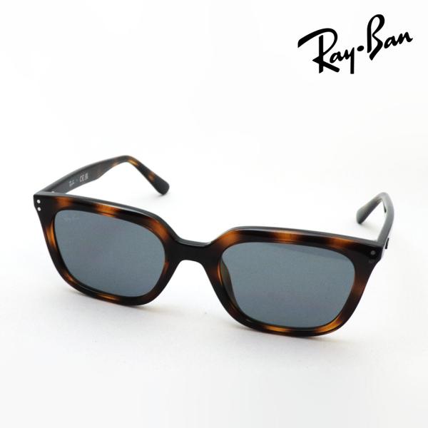 レイバン サングラス NewModel Ray-Ban RB4439D 71087 54 スクエア