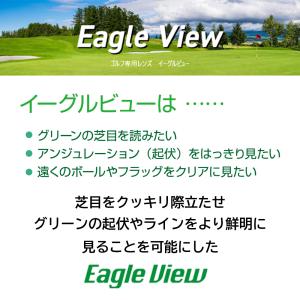 レイバン メガネ EAGLE VIEW イーグ...の詳細画像1