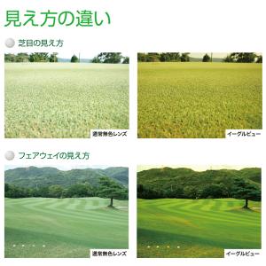 レイバン メガネ EAGLE VIEW イーグ...の詳細画像2