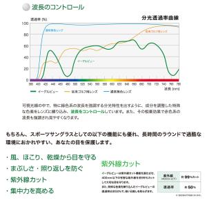 レイバン メガネ EAGLE VIEW イーグ...の詳細画像4