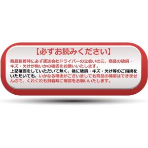 (ガラス単品) サンバートラック TT/TV/...の詳細画像3