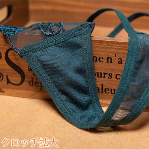 ショーツ Tバック セクシー下着 セクシーショ...の詳細画像3