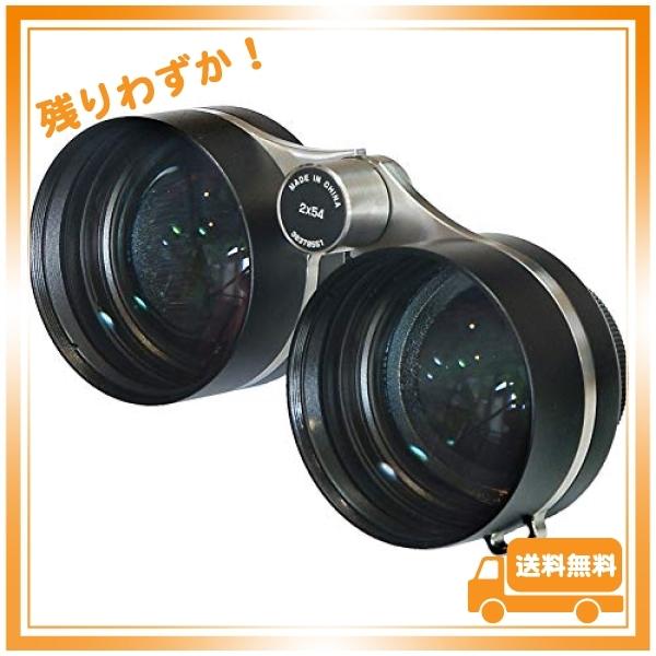 笠井トレーディング 2x54mm 「超々広角」星空観賞用双眼鏡 Super WideBino36 ス...