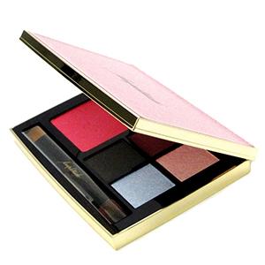 ｛在庫処分｝箱なし【メール便】アンプリチュード コンスピキュアス アイ＆チークカラーパレット リミテ...