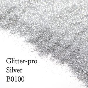 GLEAMS ラメフレーク ( わけありシルバー ) ( 100g ) ( B0100 )  ラメパウダー / グリッター / 耐溶剤 / 塗装 / 吹付 / ハンドメイド / DIY