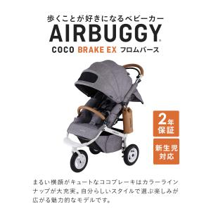 ベビーカー A型 新生児 エアバギー ココブレ...の詳細画像1
