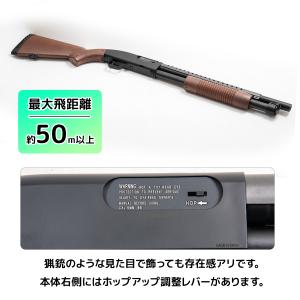 日本トイガン協会(STGA認定 DOUBLE ...の詳細画像4
