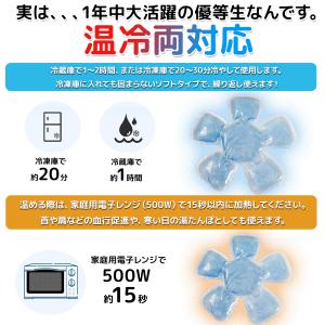期間限定半額セール 帽子用保冷剤 熱中症対策 ...の詳細画像4