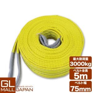 運搬用スリング 3t ベルトスリング 5ｍ 耐荷重 3000kg 1本 繊維ベルト 吊りベルト 玉掛け クレーン 帯ベルト 吊り上げ 運搬作業 土木 業務用 吊り具