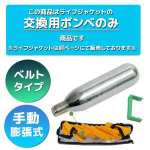 全国送料無料★ ライフジャケット 専用 交換ボ...の詳細画像1