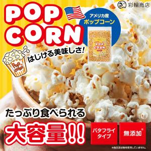 ポップコーン 豆 とうもろこし 種 コーン 電...の詳細画像1