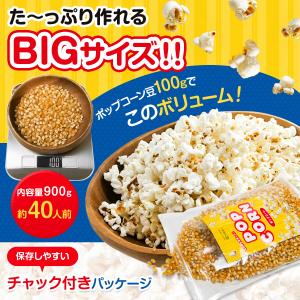 ポップコーン 豆 とうもろこし 種 コーン 電...の詳細画像2