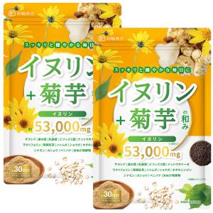 カテキン減脂粒 62粒(31日分) DMJえがお生活 機能性表示食品 日本製