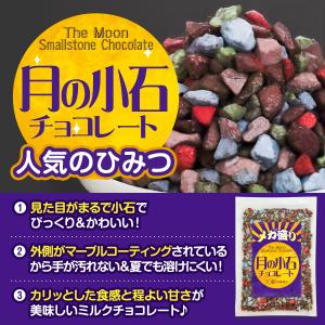 彩輪商店 月の小石 チョコレート メガ盛り 石...の詳細画像3