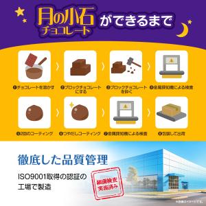 彩輪商店 月の小石 チョコレート メガ盛り 石...の詳細画像4