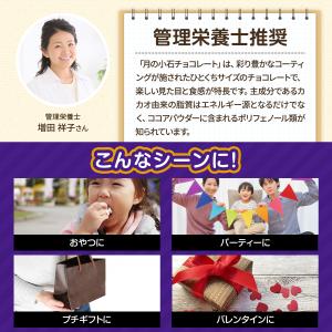 彩輪商店 月の小石 チョコレート メガ盛り 石...の詳細画像5