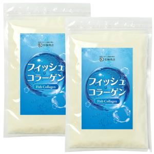 ニッピ コラーゲン100 フィッシュタイプ お試し用 (110g×1袋