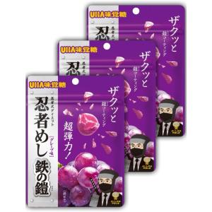 忍者めし 金の鎧 マスカット味 (単品) 鎧 UHA味覚糖 : ネイビー