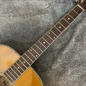【中古】 Morris | モーリス 楽器 W...の詳細画像2