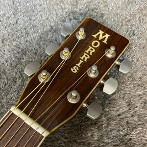 【中古】 Morris | モーリス 楽器 W...の詳細画像3