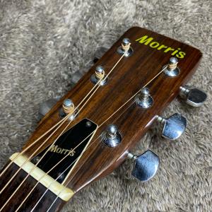 【中古】 Morris | モーリス 楽器 W...の詳細画像3