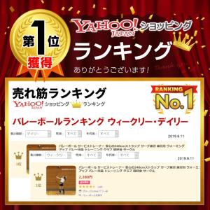 バレーボール 練習 サービストレーナー 4号球...の詳細画像2
