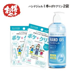 ※在庫一掃セール 50%OFF※ ポケクリン2パック ハンドジェル1本  使い切りタイプ 12包×2個セット 手指 除菌 抗菌 衛生用品 衛生 清潔｜global-tsuhan