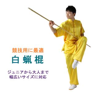 太極剣 太極拳剣 剣術 シルバー 龍剣 剣穂付き ジュラルミン製【競技用