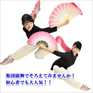 竹製-双扇子 太極拳扇 太極扇 太極扇子の詳細画像2