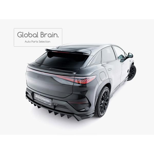 BYD シーライオン7 リア ルーフ スポイラー