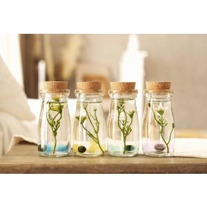 マリモ 育て方の商品一覧 通販 Yahoo ショッピング